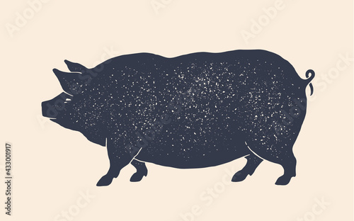 Pork, pig. Vintage retro print, black white pig drawing, grunge old school style. Isolated black silhouette pig on white background. Side view profile. Vector Illustration