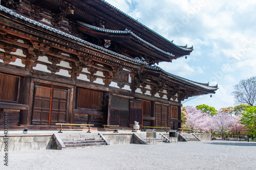 Ancient Golden Hall (Kondo) with Cherry Blossom in Toji in spring season. To-ji is a Shingon Buddhist temple found in 796 in the Minami-ku ward of Kyoto, Japan. photo