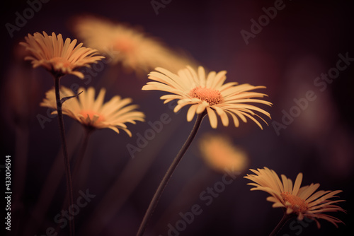 beautiful spring season garden flowers in sunset light