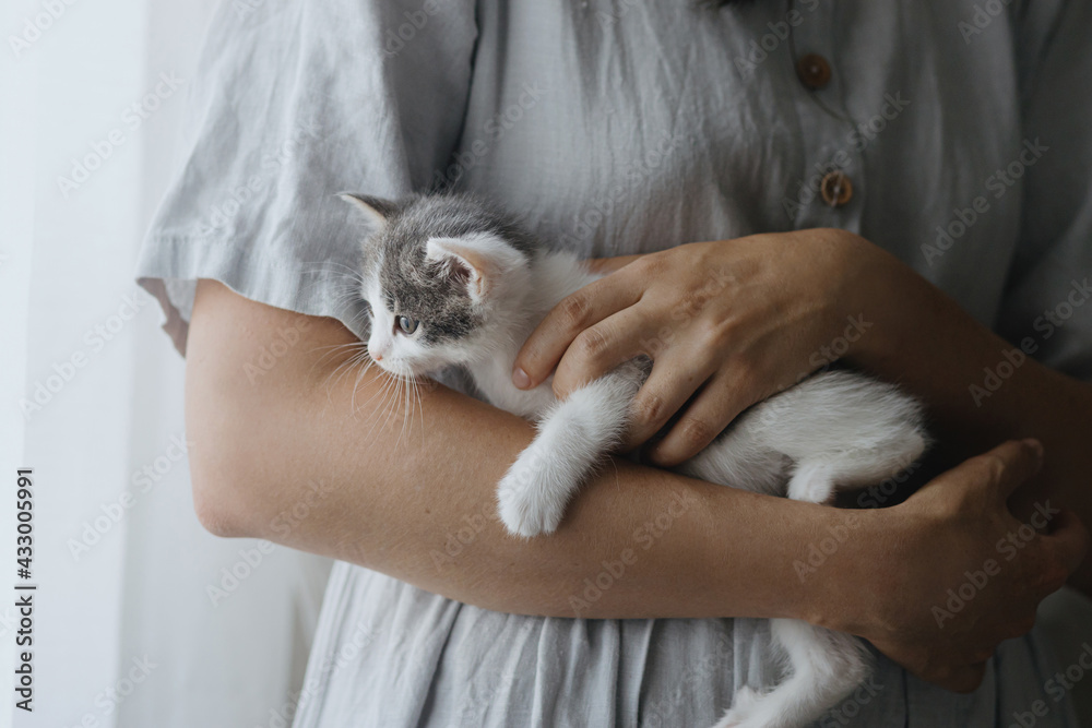 Woman in rustic dress holding cute little kitten in hands. Portrait of adorable kitty. Adoption.Love