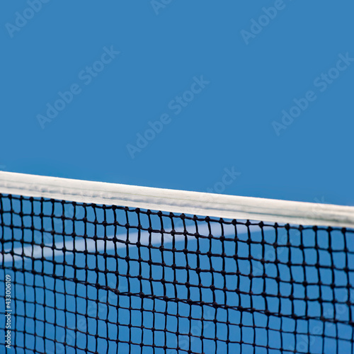 Blue paddle and tennis net and hard court. Professional sport and tennis competition concept © Augustas Cetkauskas