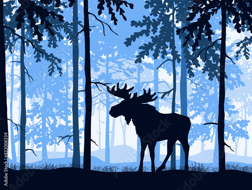 Moose with antlers posing  forest background  silhouettes of trees. Magical misty landscape. Illustration.