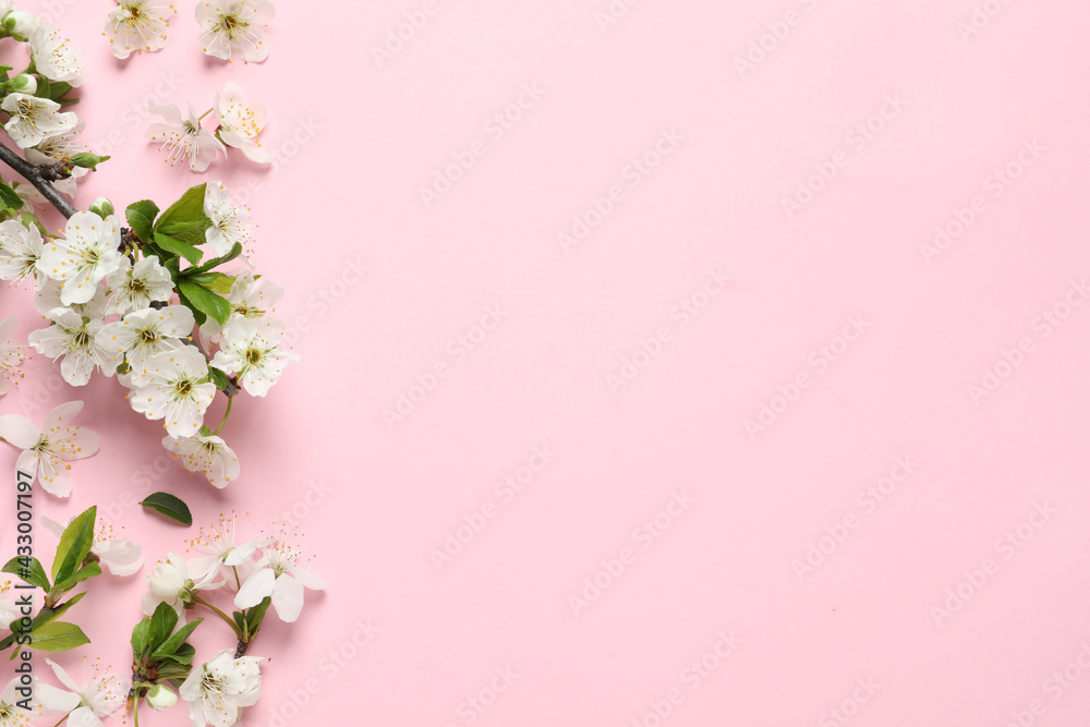 Blossoming spring tree branch and flowers as border on pink background, flat lay. Space for text