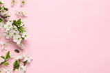 Blossoming spring tree branch and flowers as border on pink background, flat lay. Space for text
