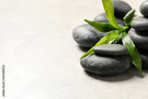 Spa stones and bamboo sprout on light grey table, closeup. Space for text