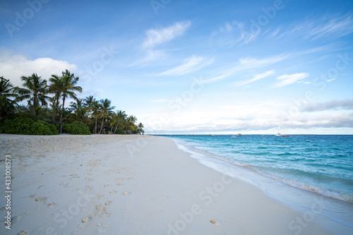 beautiful landscape with a blue sea and patm trees on the blue sky background in Zanzibar island photo