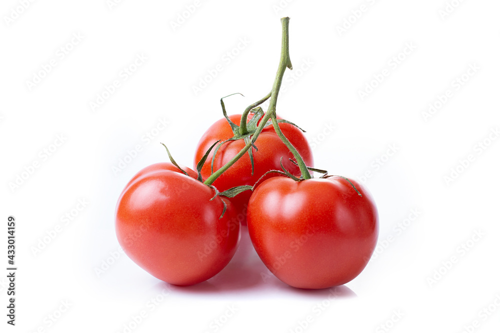 A branch of three fresh red tomatoes isolated on a white background. A branch of three fresh red tomatoes isolated on a white background.