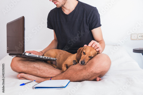 Foto young man with dog working
