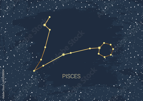 Hand drawn card of gold Pisces, star, brush. Constellation celestial space. Zodiac horoscope symbol, star astrology, astrology sign, icon. Magic space galaxy, vector sketch illustration