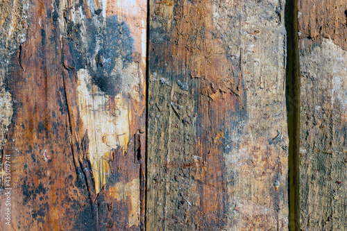 Macro photo of rusted nails on old rustic board.