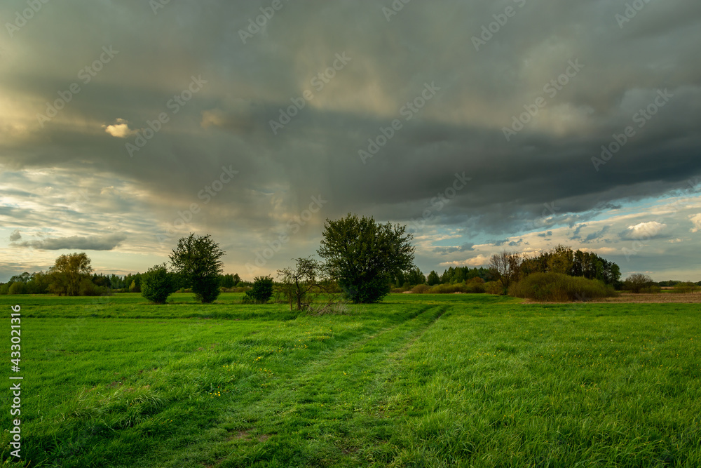 Green meadow with road and rain cloud, Nowiny, Poland
