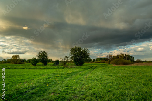 Green meadow with road and rain cloud, Nowiny, Poland