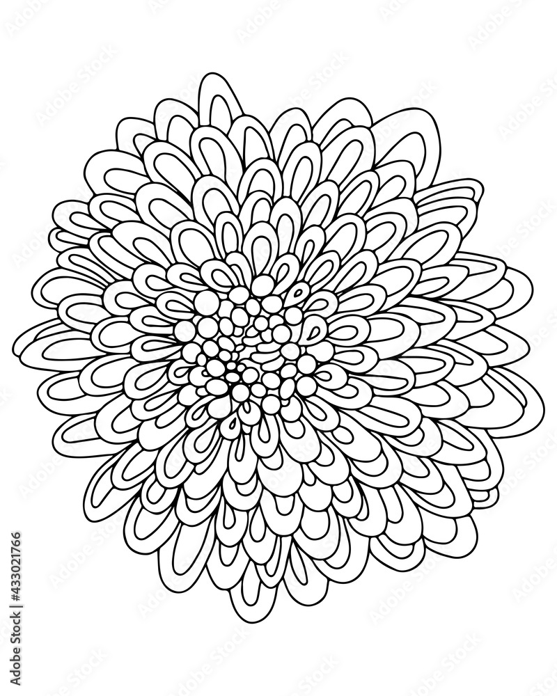 Line flower isolated on the white background
