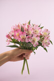 Beautiful bouquet of red alstroemeria flowers on a pink background.