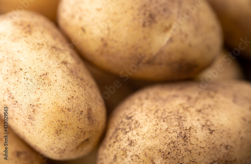 Fresh potatoes in the sun