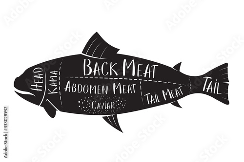 Butcher's guide - fish - vector illustration