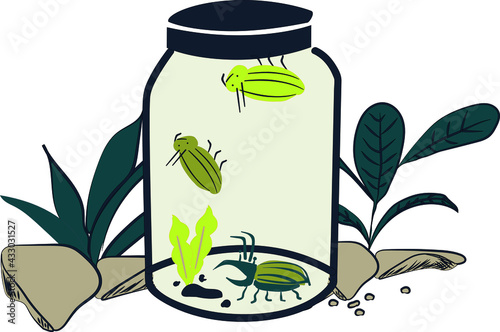 Insects in the jar pattern designs for kids in vector.