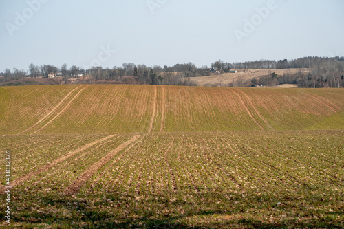 Hilly terrain - crop fields and houses in the background (795)