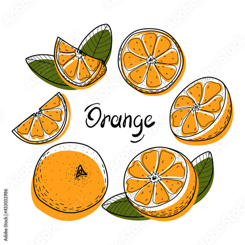 Orange fruit set. Abstract orange whole, in section, half and slices. A stylish and juicy collection of citrus fruit with leaves. Elements isolated on a white background. Doodle, contour, line. Vector