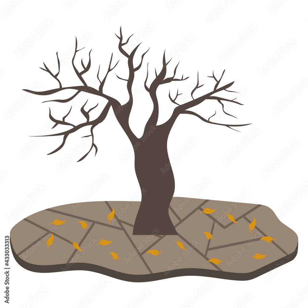Fotografie A withered tree with fallen flattery and cracked earth