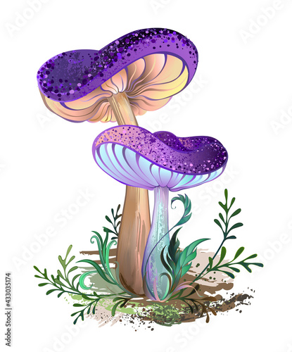 Two purple mushrooms