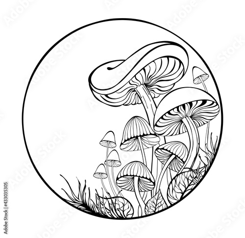 Mushrooms in circle