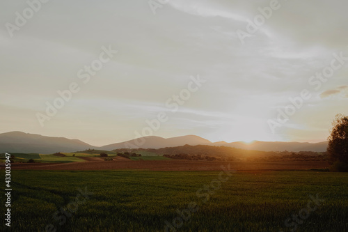 landscape sunset field spain in spring summer