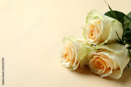 Beautiful roses on beige background, space for text