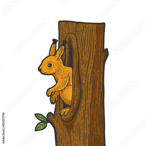 squirrel in a hollow color sketch engraving vector illustration. T-shirt apparel print design. Scratch board imitation. Black and white hand drawn image.