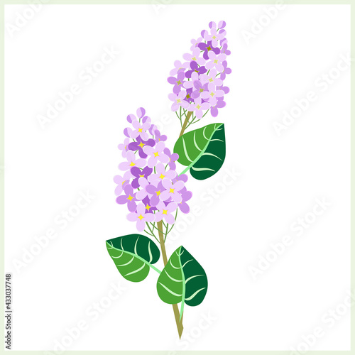 Lilac flower with leaves, pattern.