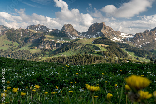 Gipfel des Gantrisch und Nüneneflue im Frühling photo