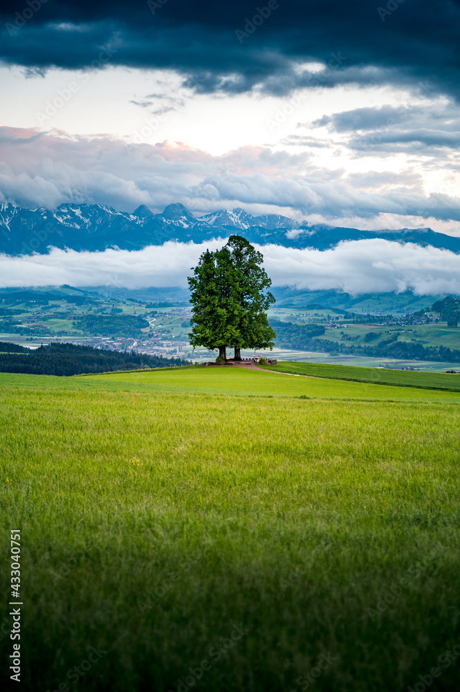 Fototapeta premium clouded sky at sunset in Emmental after a rain storm
