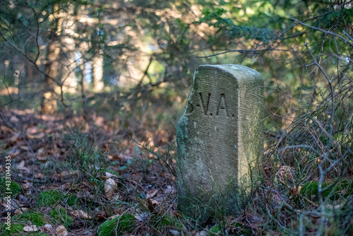 border post, grave stone in the woods, old leaves, green tree needles