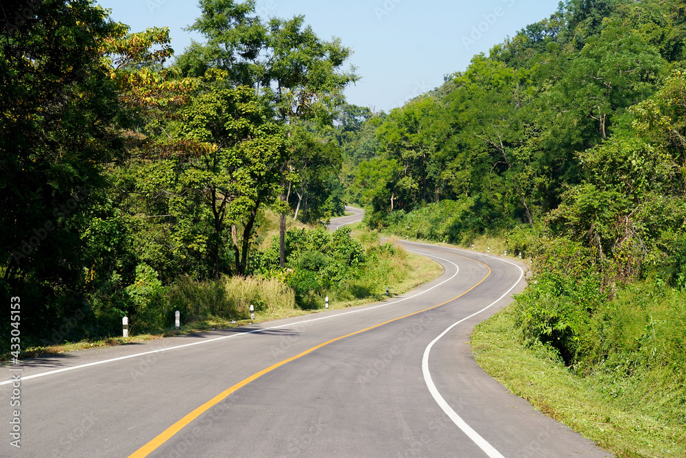 Country winding road with green tree forest .    