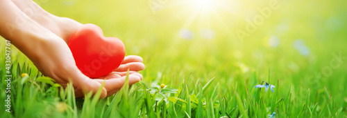 Woman hands holding red heart shape on the green grass background.