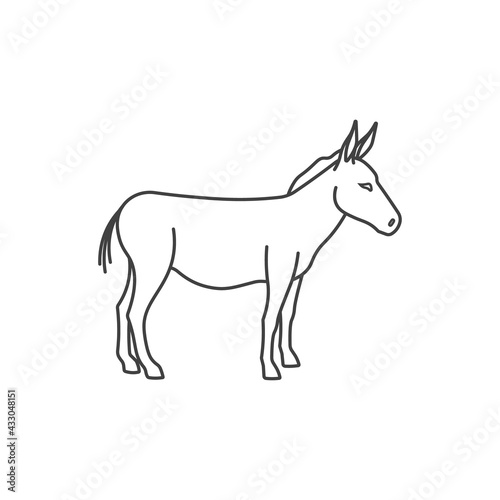 Donkey logo. Abstract drawing of cute animal of livestock. Vector illustration. © kashurin