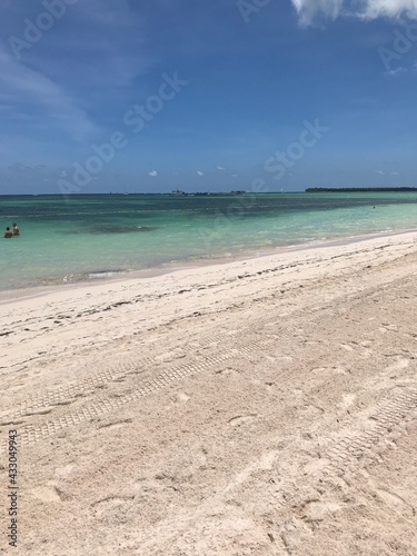 beach and sea