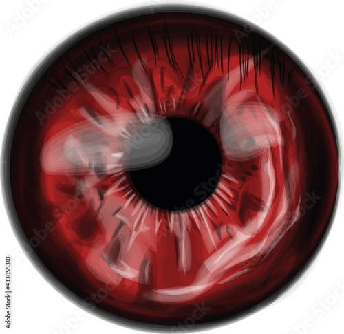 Red eye iris _ realistic vector 