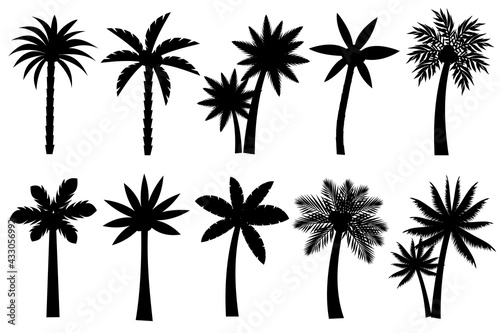 Collection of Black Coconut trees Icon. Can be used to illustrate any nature or healthy lifestyle topic.