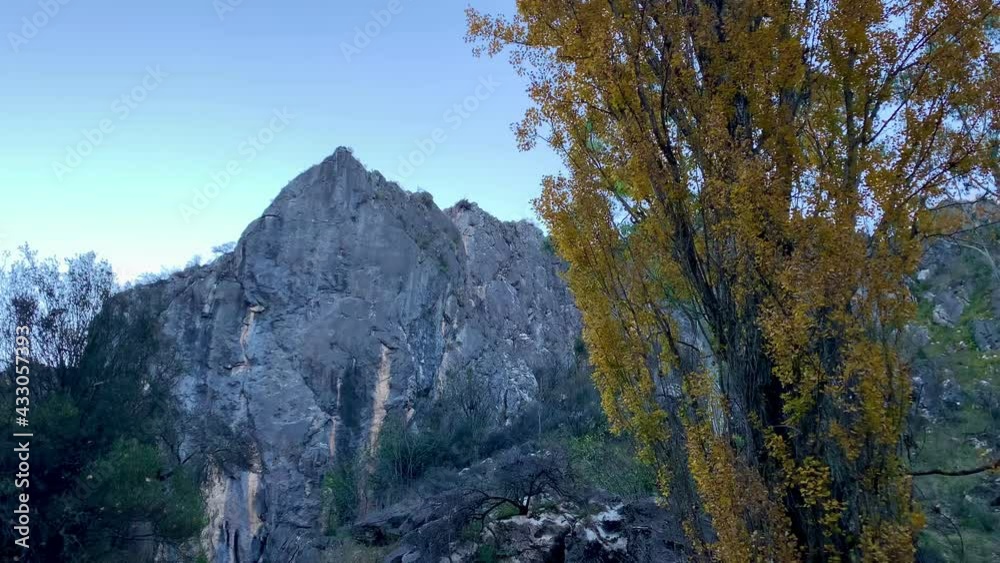 Autumn fall leaves with mountain in background in Australia Autumn fall leaves with mountain in background in Australia