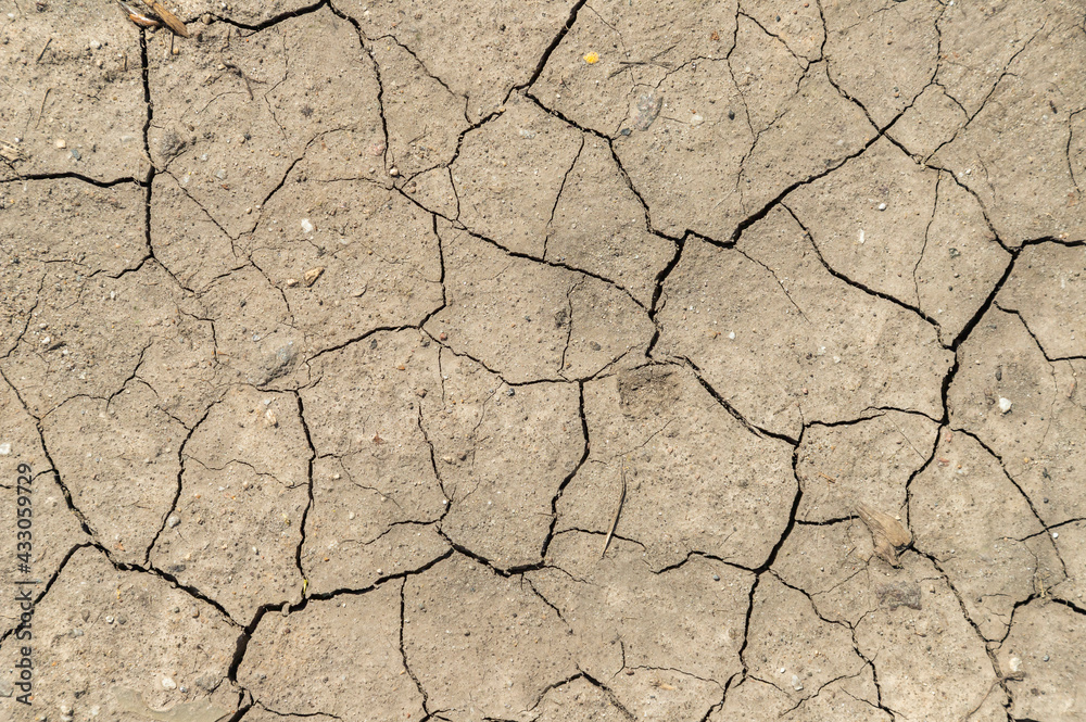 Fototapeta premium cracked light brown earth dry texture background
