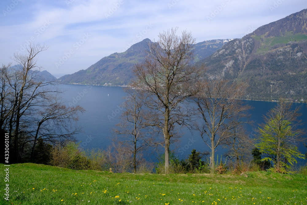 The Lucern lake during the spring. The 26th April 2021, Switzerland. The Lucern lake during the spring. The 26th April 2021, Switzerland.