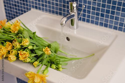 A bouquet of fresh yellow tulips with green stems in a sink with water running from the faucet in a modern bathroom decorated with blue tile. #433061158