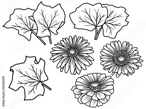 Hand drawing and sketch flower with line art illustration.