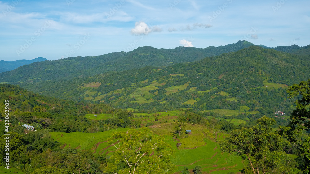 Malino, Tinggimoncong, Gowa Regency, South Sulawesi, Indonesia 3-25-2021 Beautiful rice field malino.