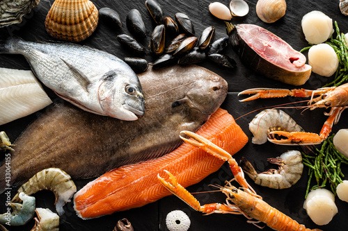 Verschiedene frische Fische und Meeresfrüchte auf schwarzem Hintergrund