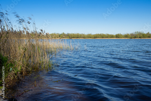 Spring lake horizontal landscape with blue clear sky.