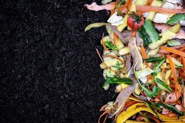 biodegradable kitchen waste on soil. composting organic food leftovers. copy space