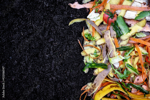 biodegradable kitchen waste on soil. composting organic food leftovers. copy space
