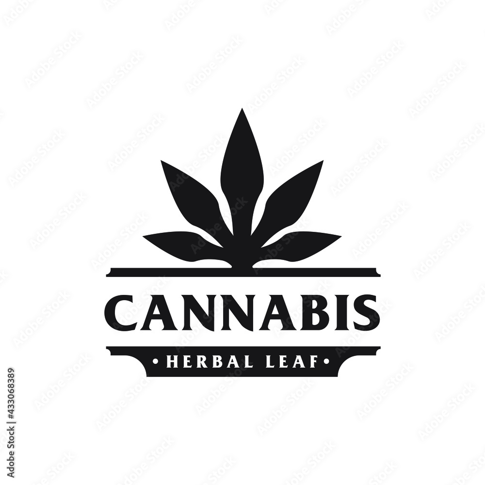 creative cannabis marijuana logo design creative cannabis marijuana logo design